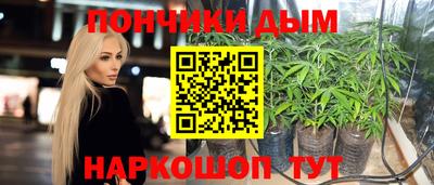 шишки Можайск