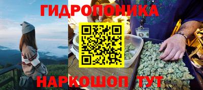дживик Моздок
