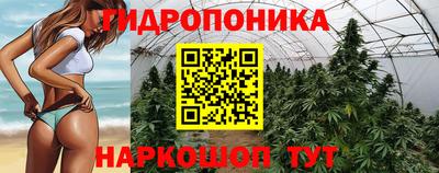 ALPHA-PVP Можга