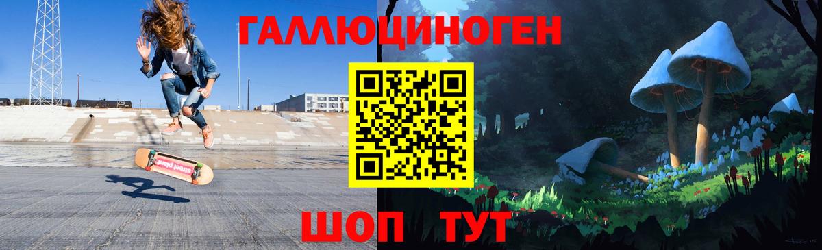 Псилоцибиновые грибы Psilocybe Тутаев